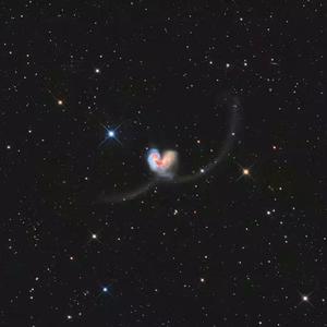 草莓污污小视频在线观看
